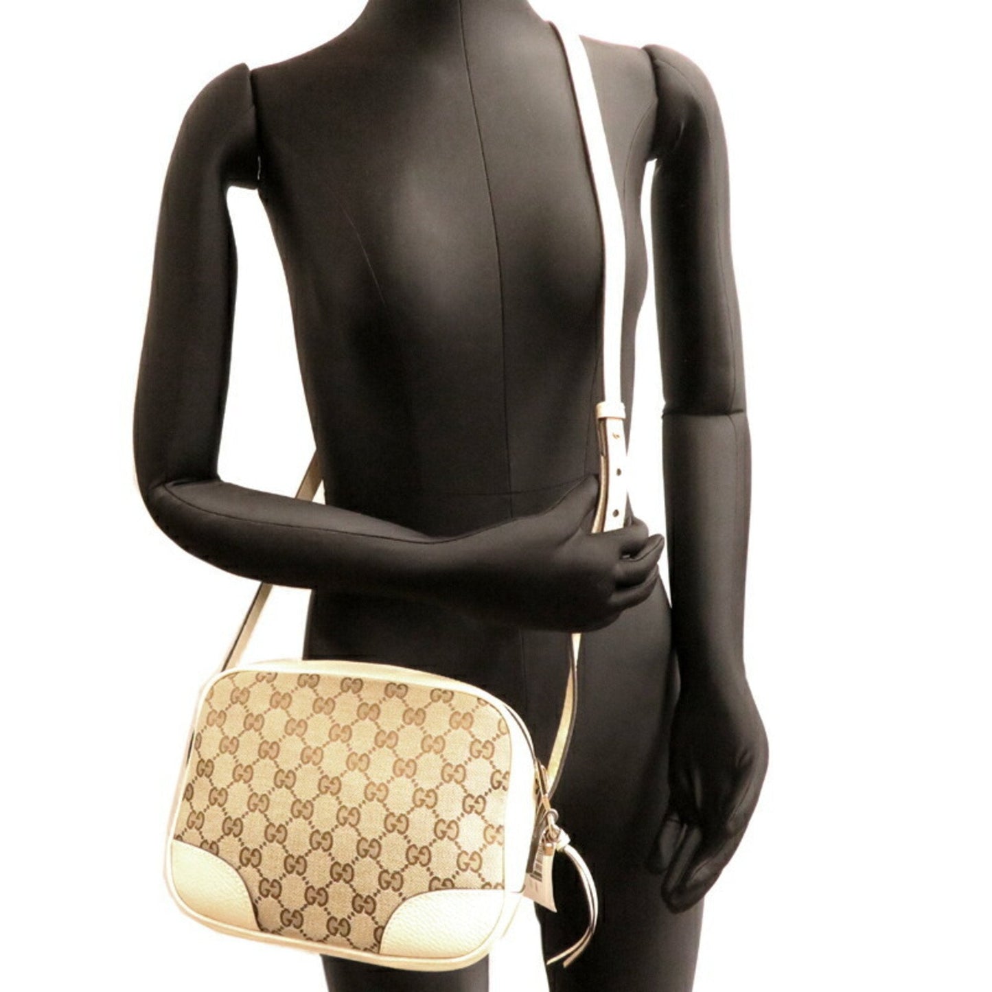 Gucci GG canvas