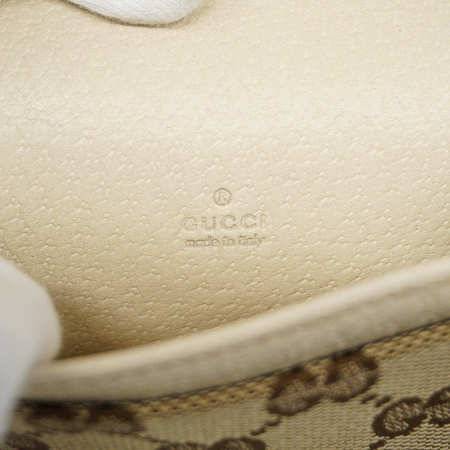 Gucci GG canvas