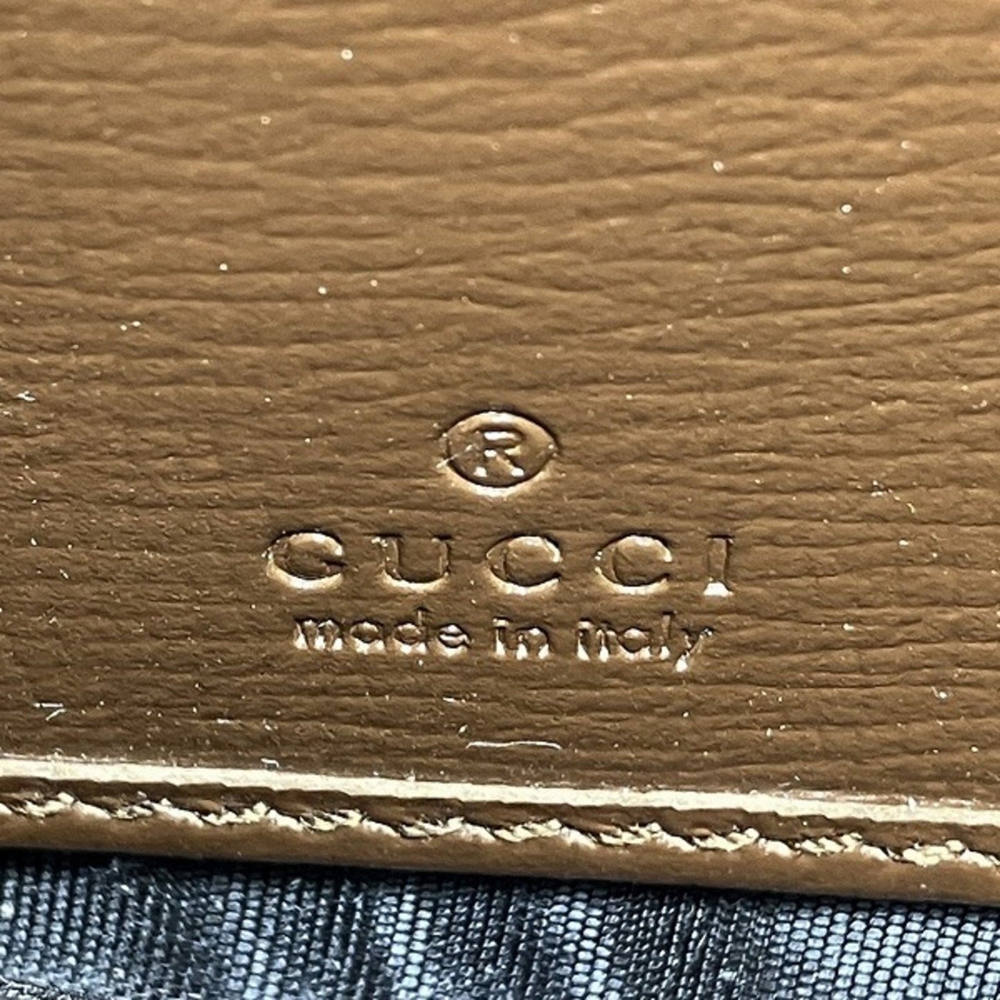 Gucci Ophidia