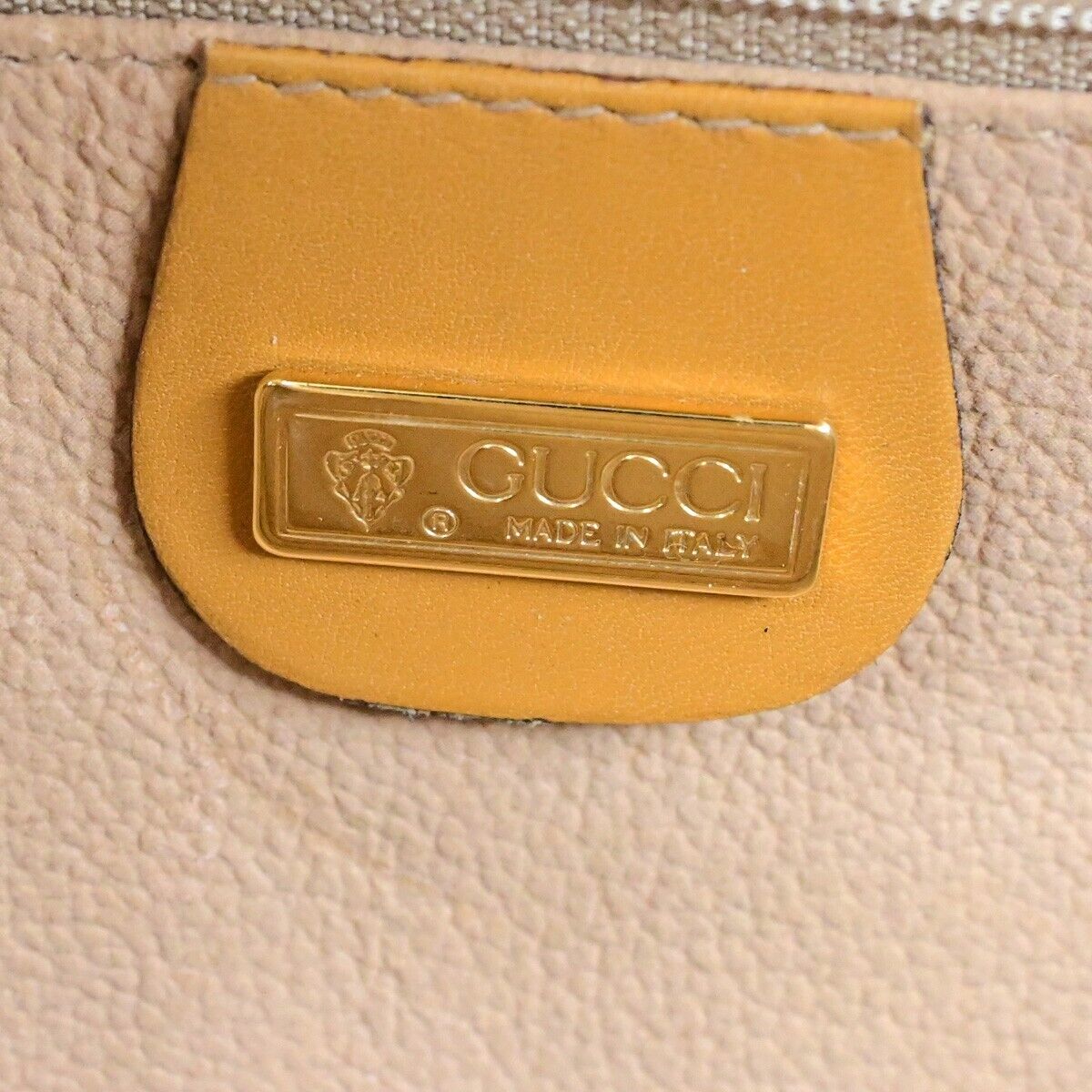 Gucci GG canvas