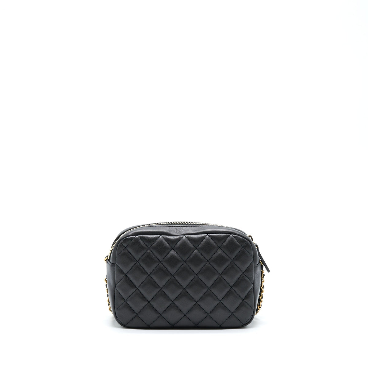 Chanel Camera Case Quilted Calfskin Black GHW