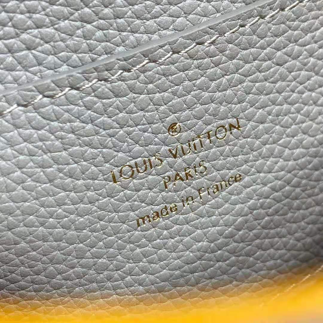 Louis Vuitton LV Women LV Pont 9 Soft MM Gris Taupe Summer Gold Grained Calfskin
