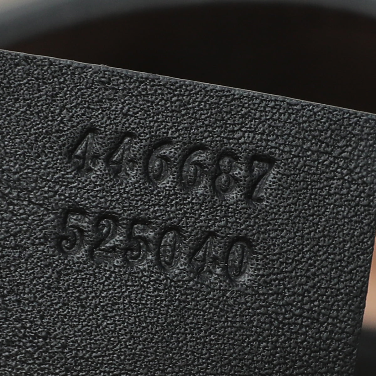 Gucci Black Dionysus Web Hobo Medium Bag