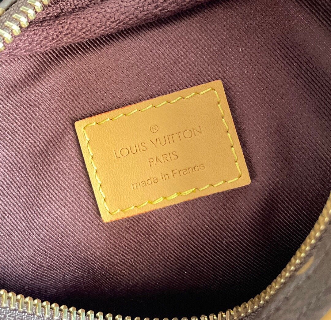 Louis Vuitton Loop Bag