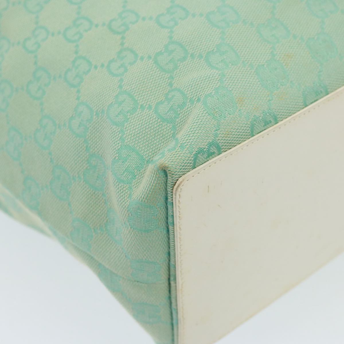 Gucci GG canvas