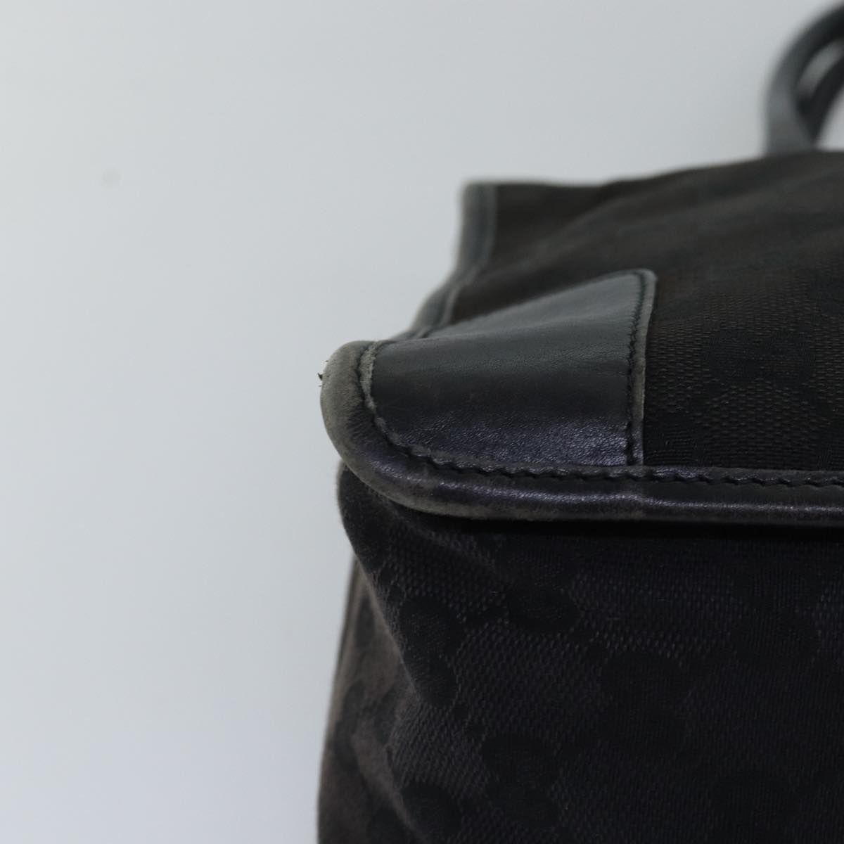 Gucci GG canvas
