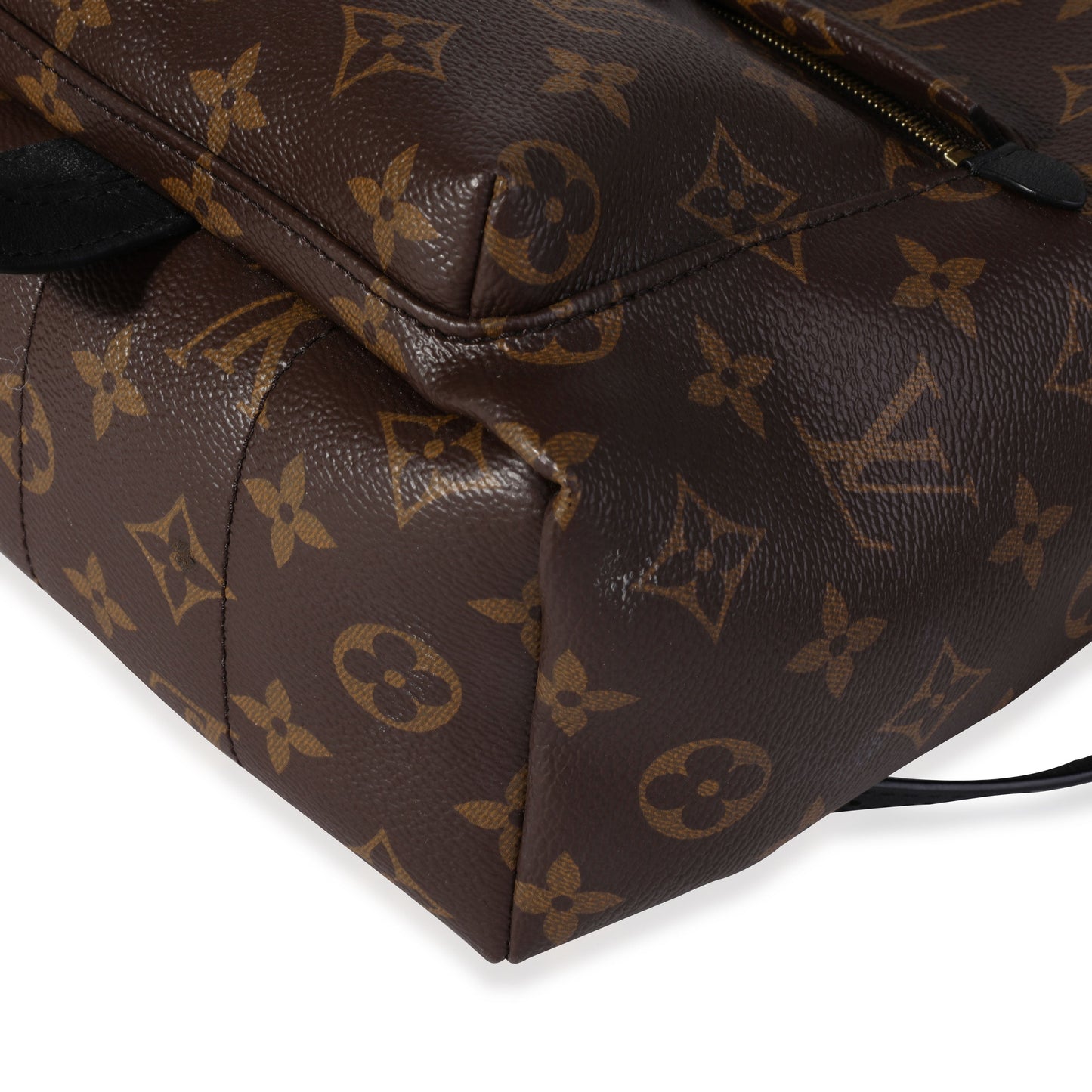 LOUIS VUITTON Monogram Canvas Palm Springs PM
