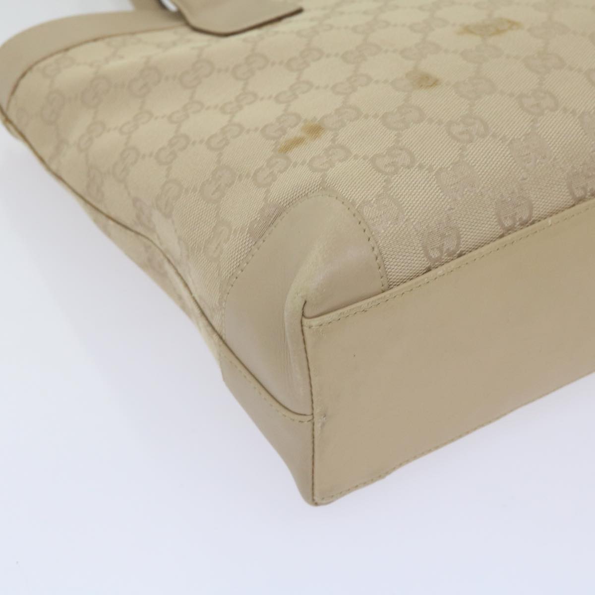 Gucci GG canvas