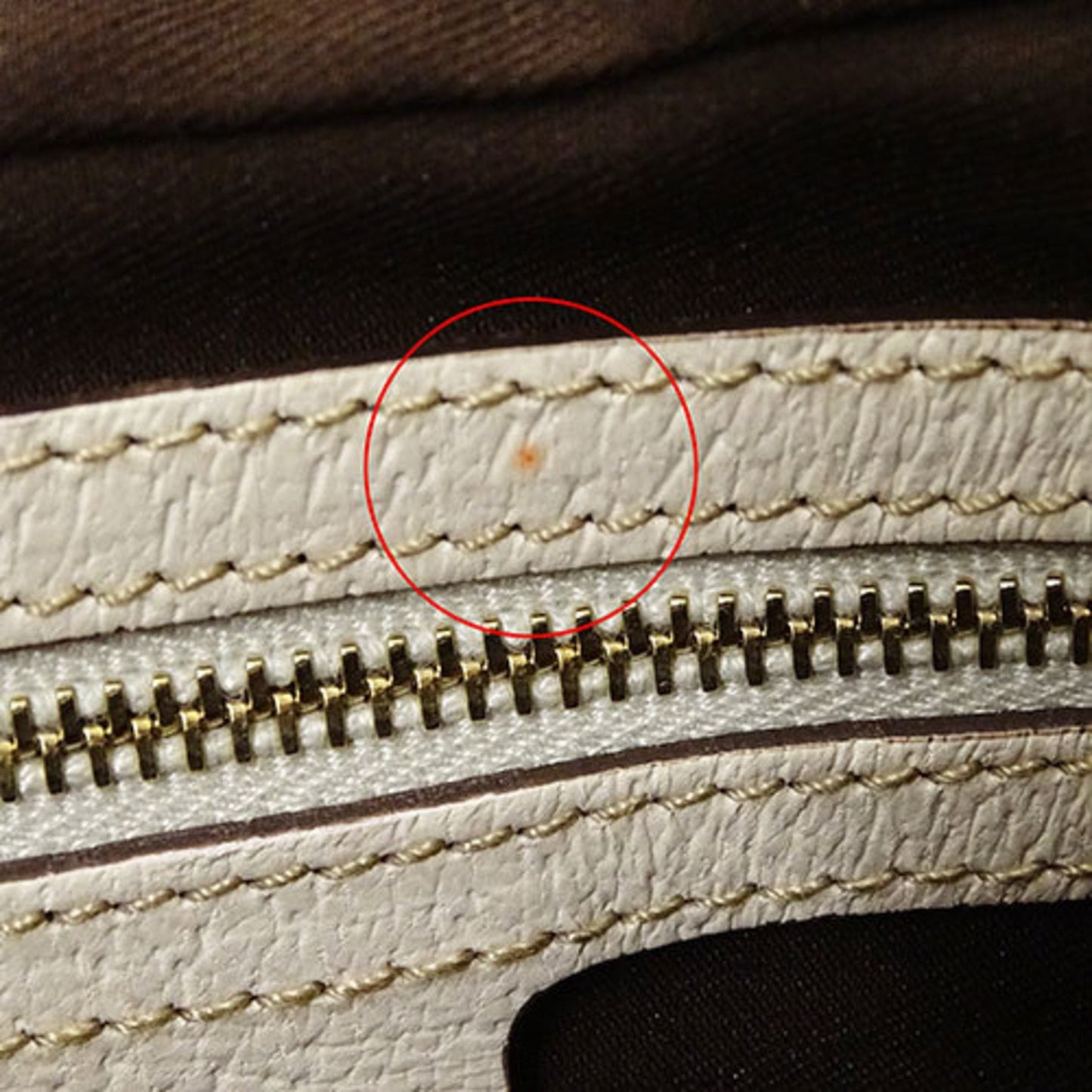 Gucci GG canvas