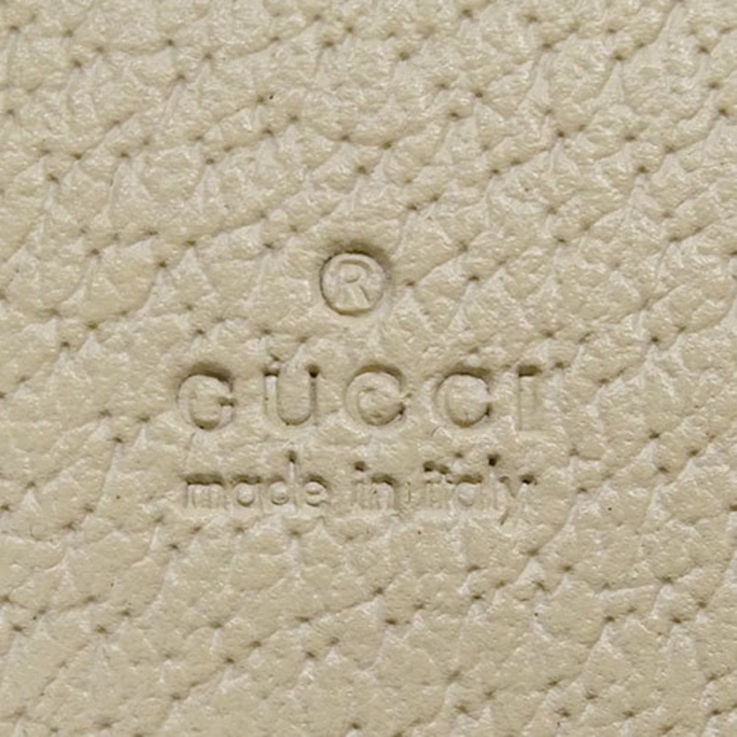 Gucci GG canvas