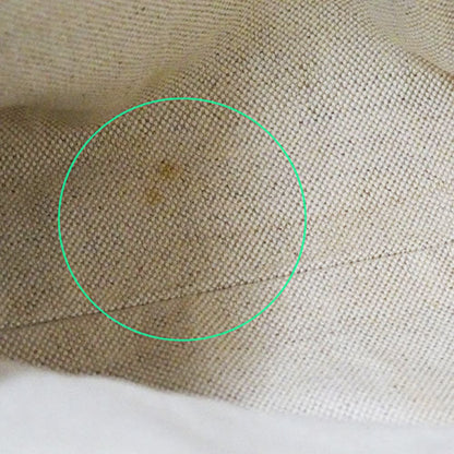 Gucci GG canvas