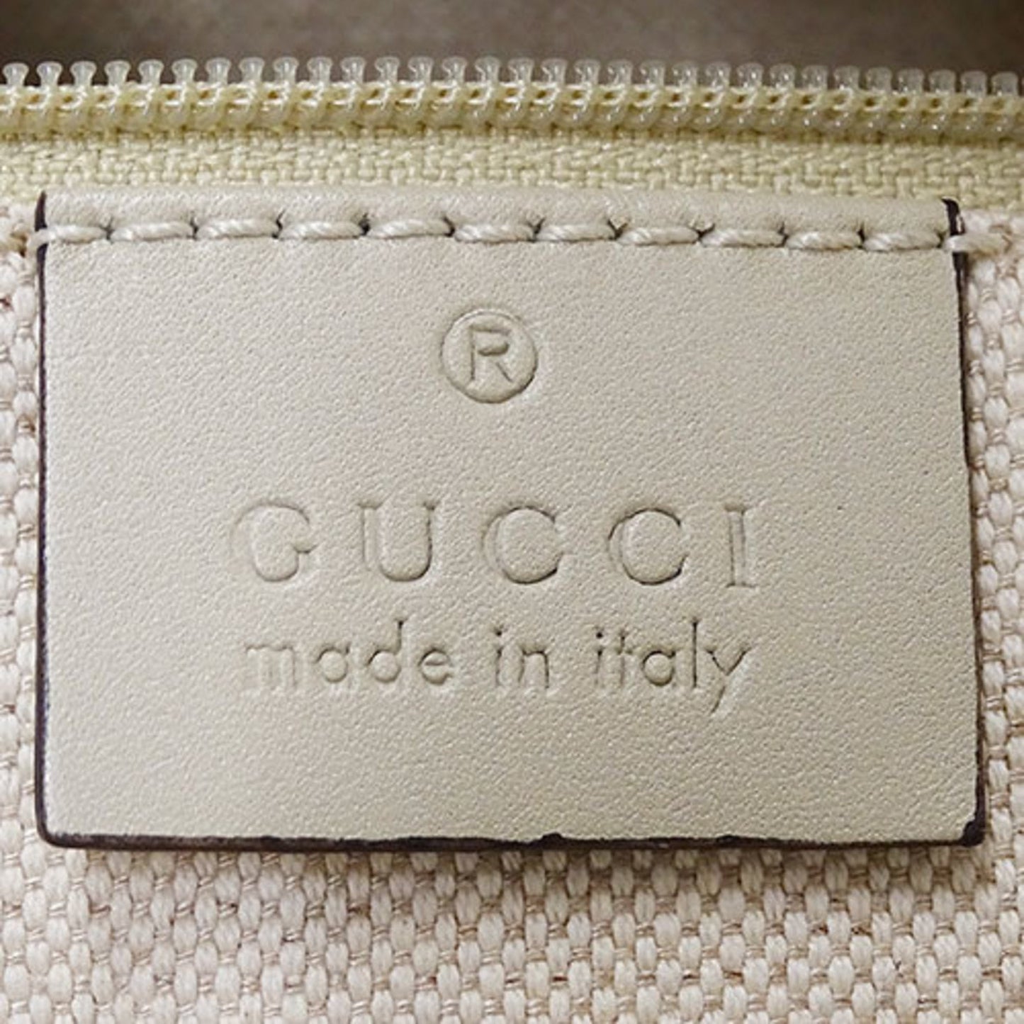 Gucci GG canvas