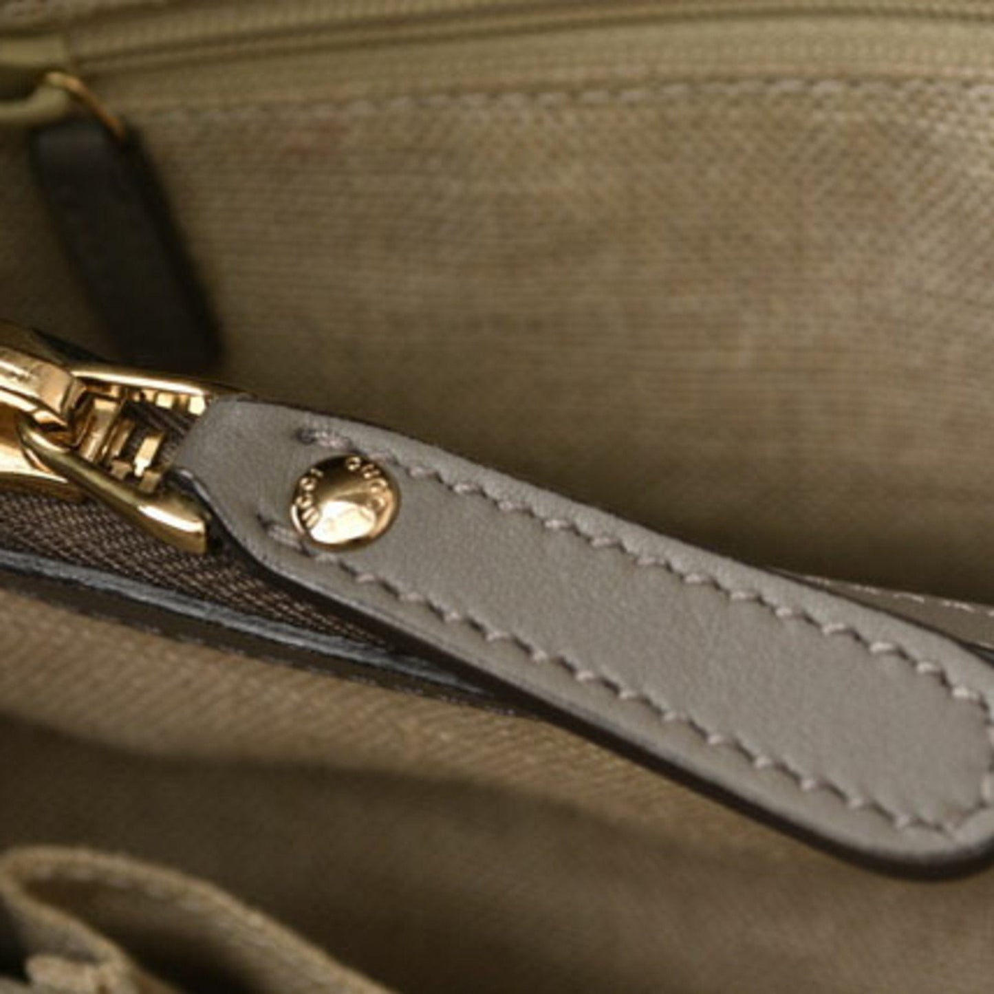 Gucci Micro guccissima