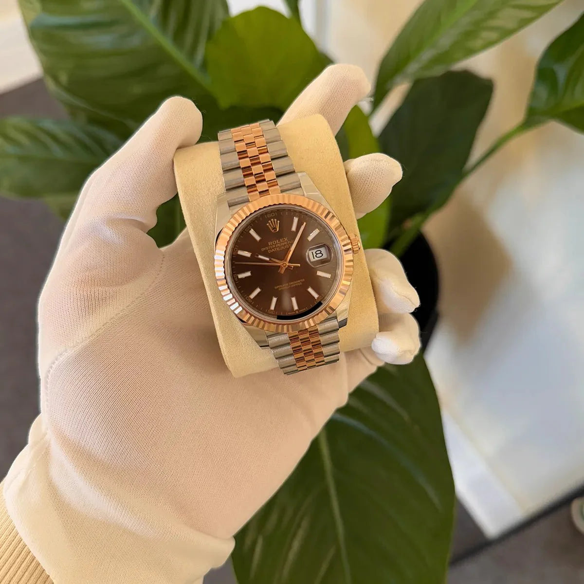 Rolex Datejust 41 Chocolate Dial