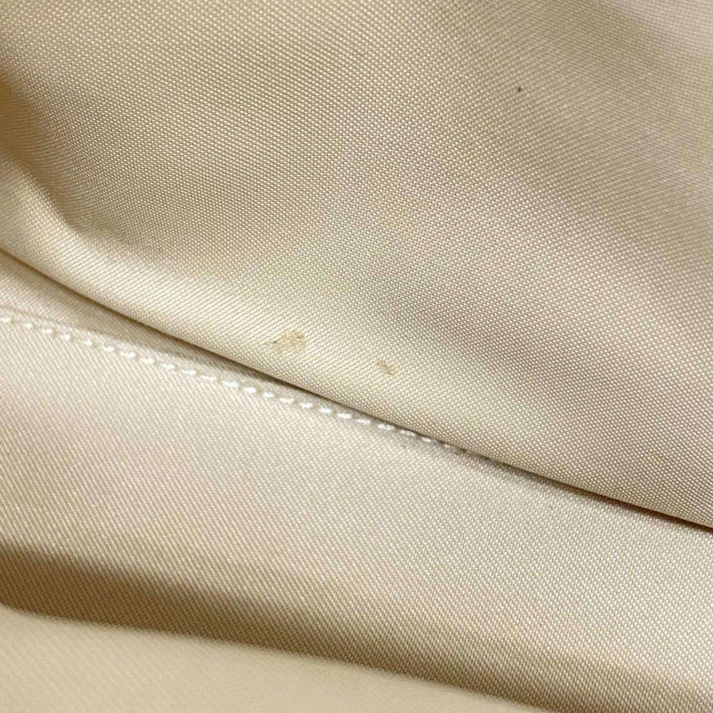Gucci GG canvas