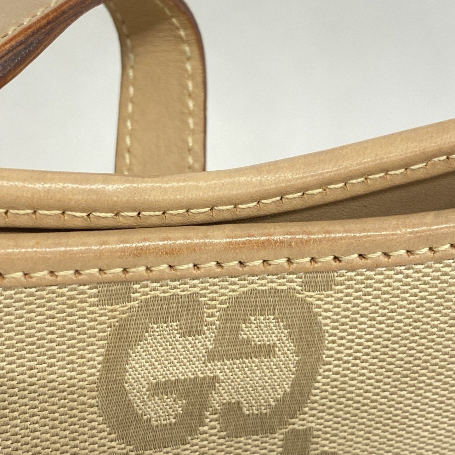 Gucci GG canvas
