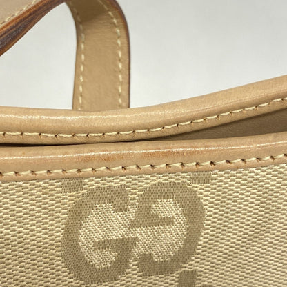 Gucci GG canvas