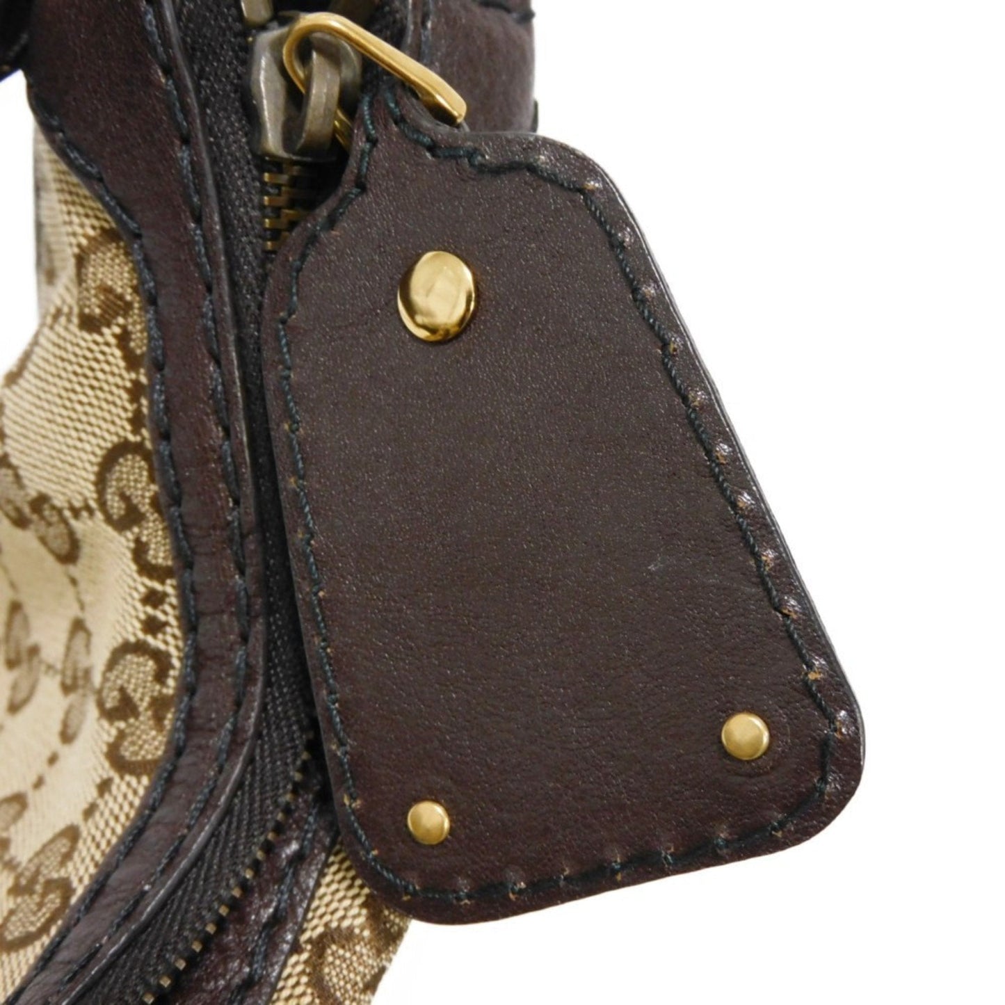 Gucci GG canvas