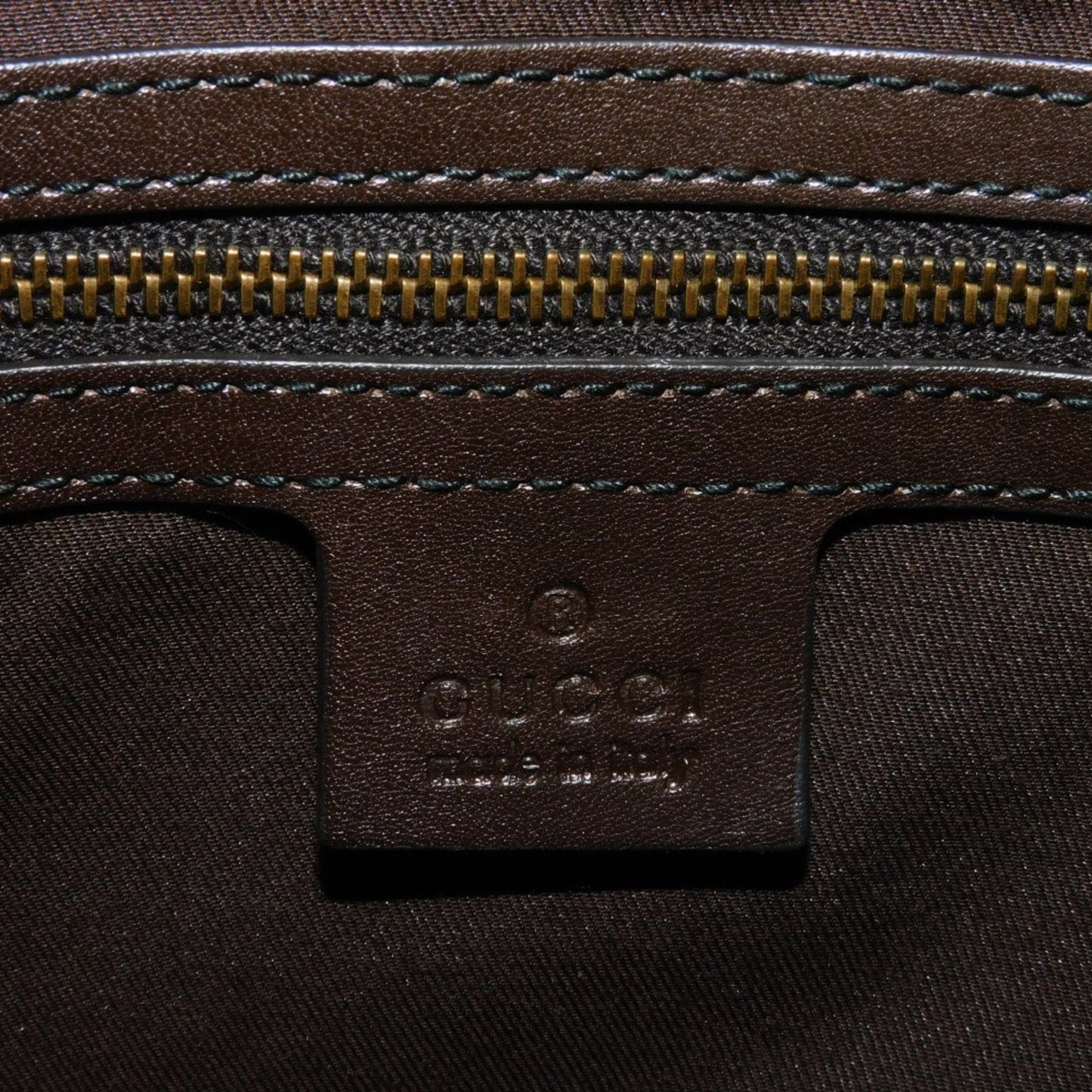 Gucci GG canvas