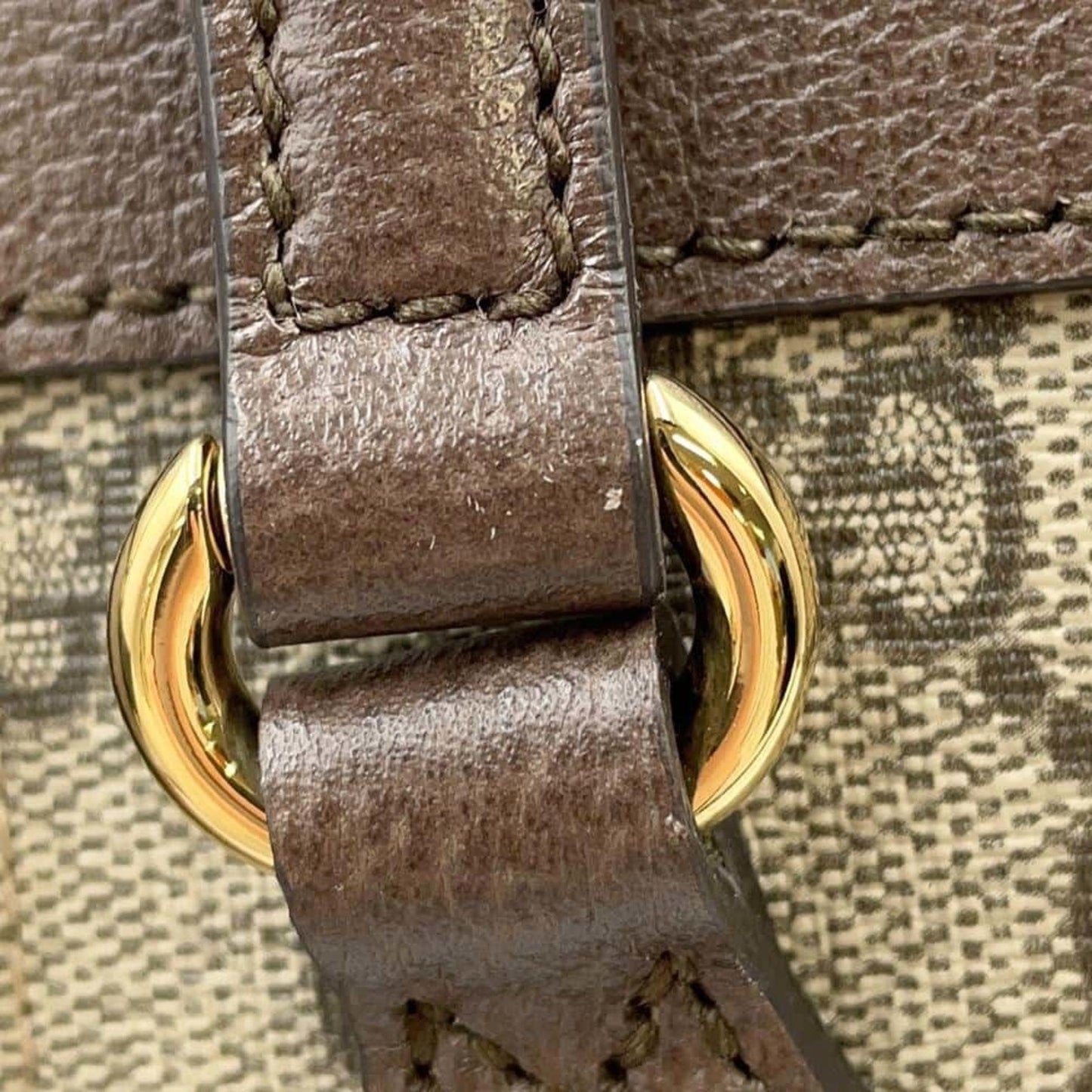 Gucci Ophidia