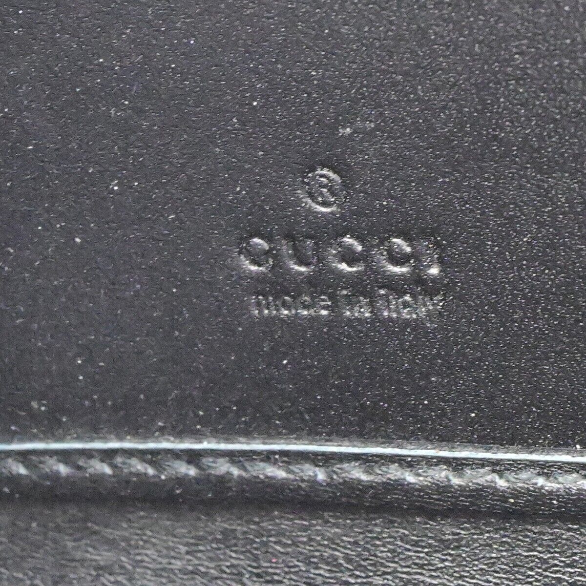 Gucci Guccissima
