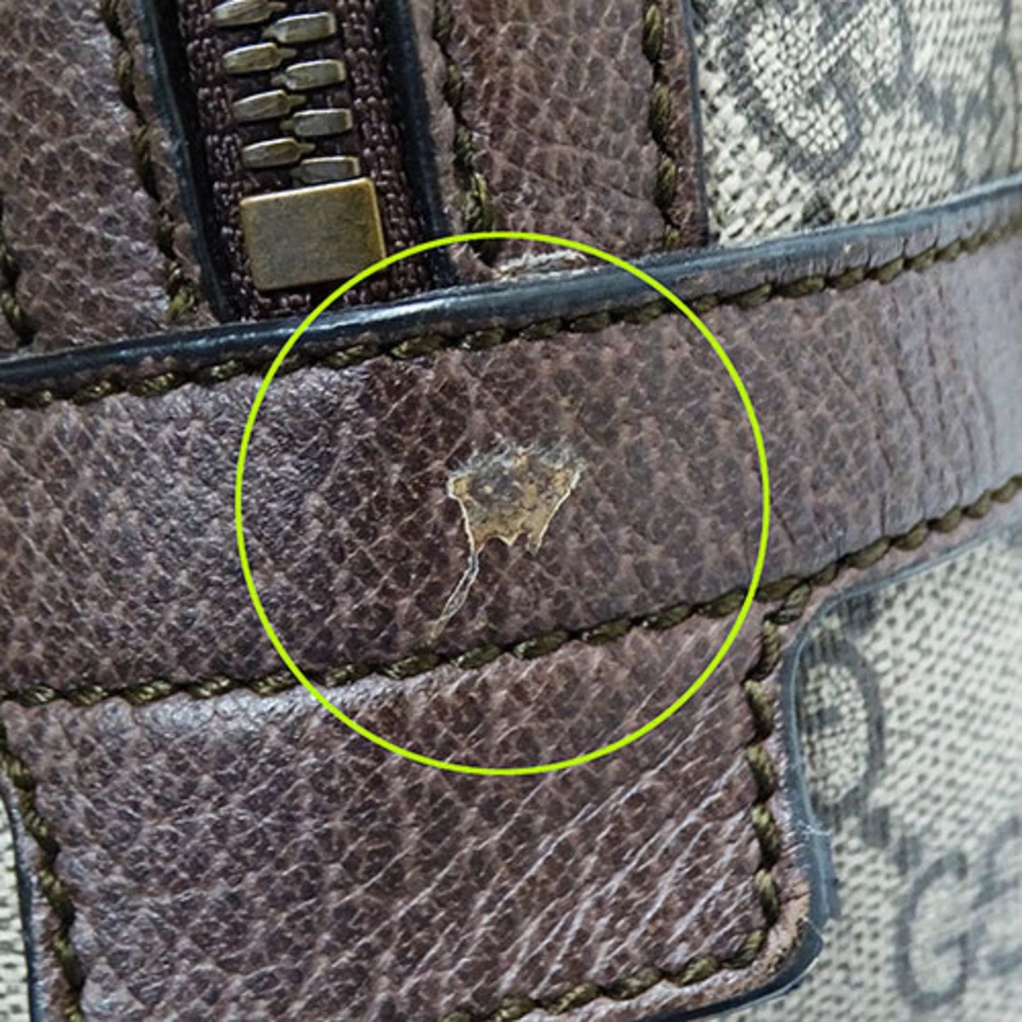 Gucci Ophidia
