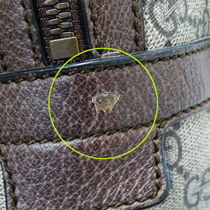 Gucci Ophidia