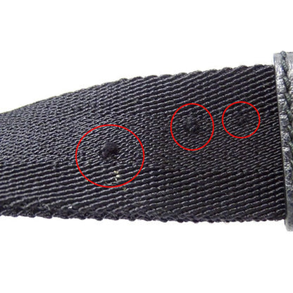 Gucci GG canvas