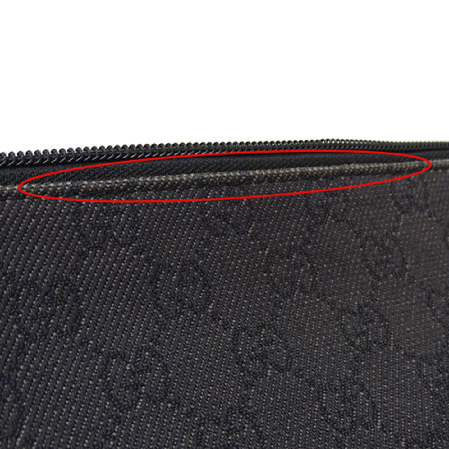 Gucci GG canvas