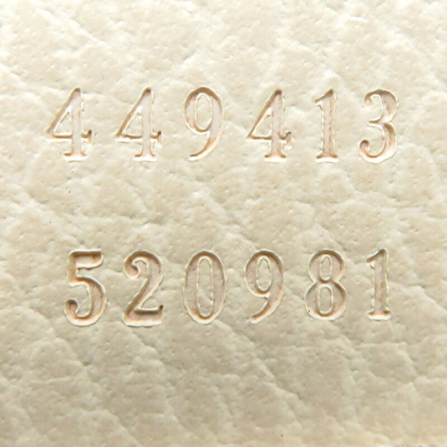 Gucci GG canvas