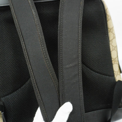 Gucci GG canvas