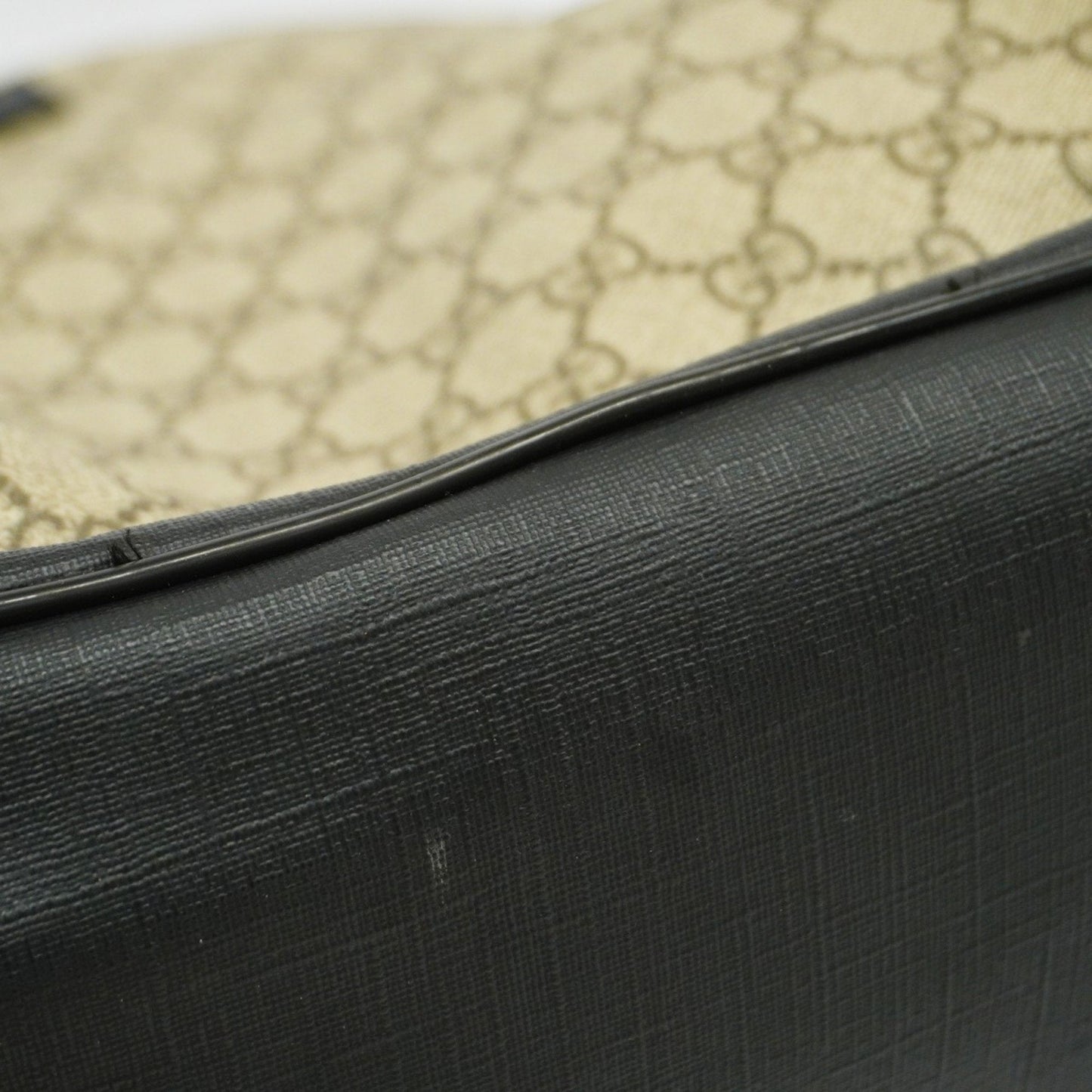 Gucci GG canvas