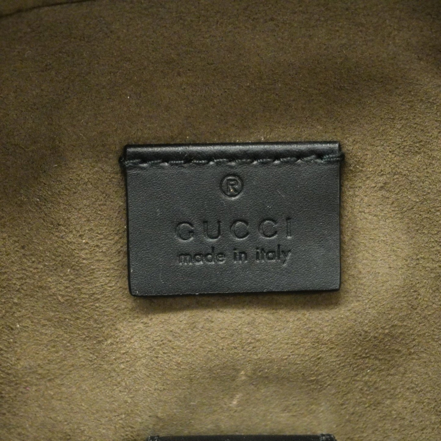 Gucci GG canvas