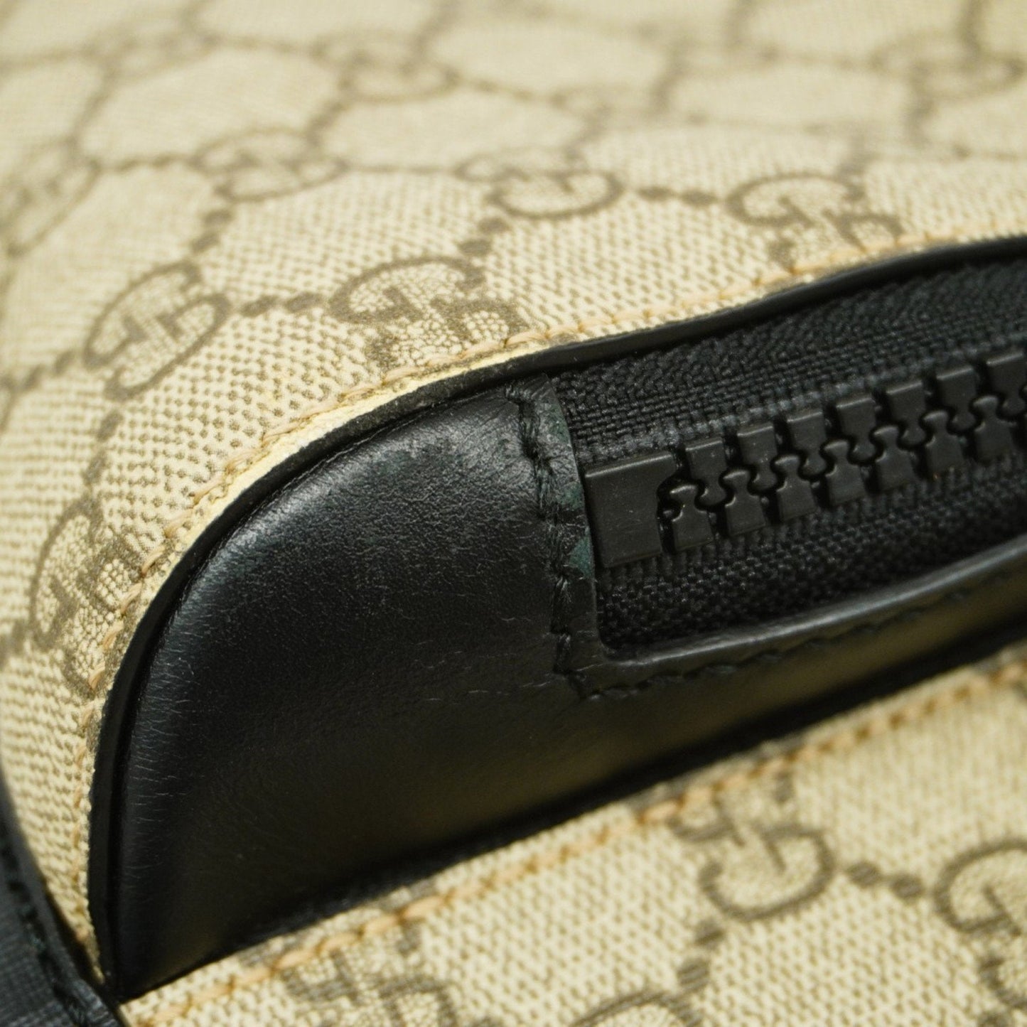 Gucci GG canvas