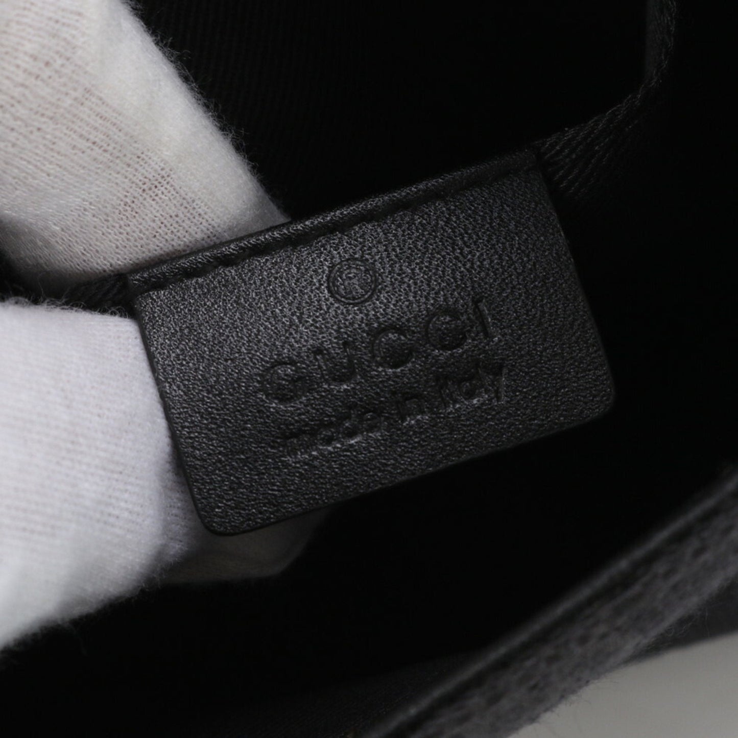 Gucci GG canvas