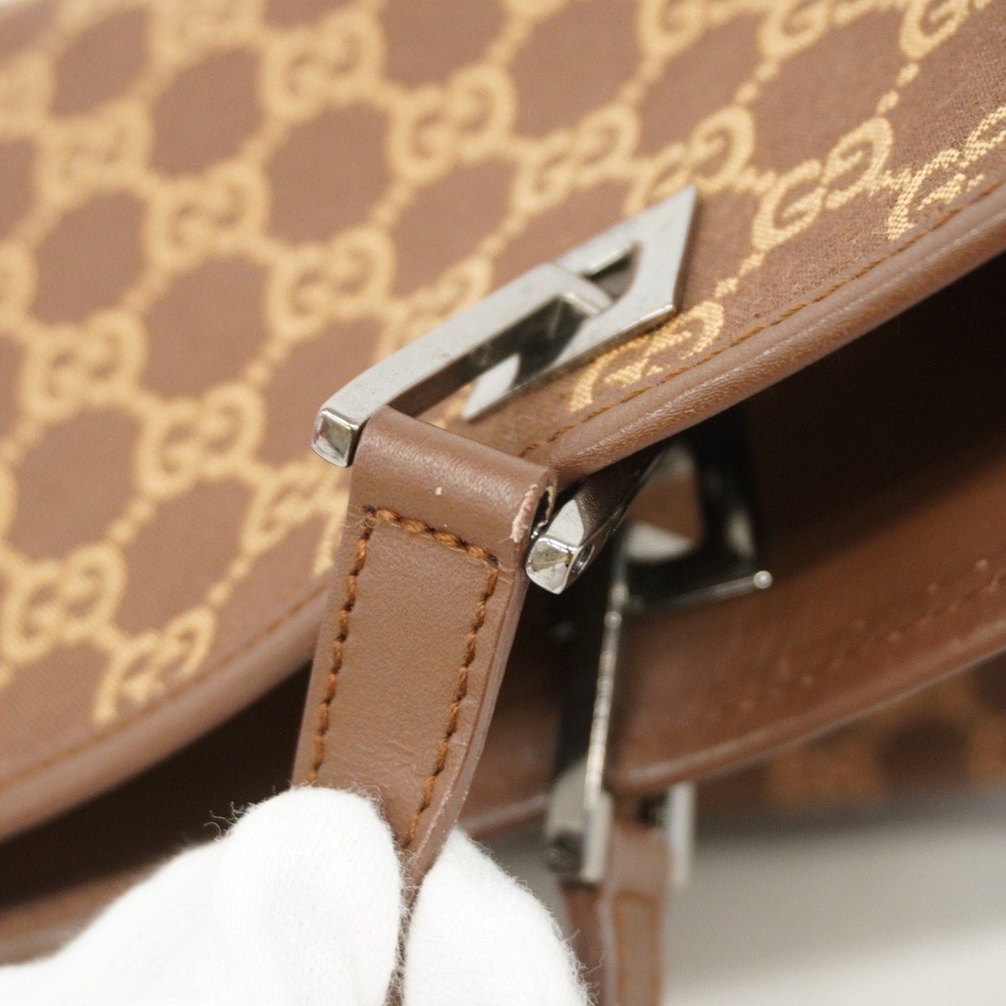 Gucci GG canvas