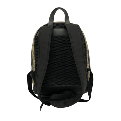 Gucci GG canvas