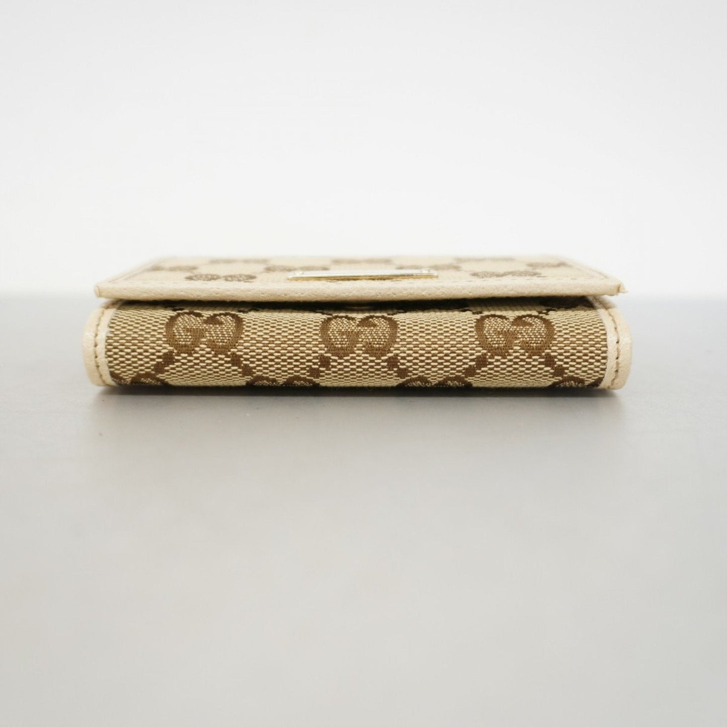 Gucci GG canvas