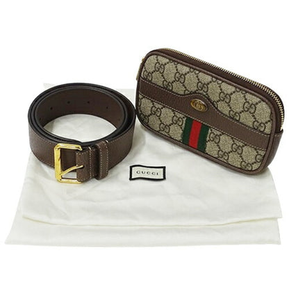 Gucci Ophidia