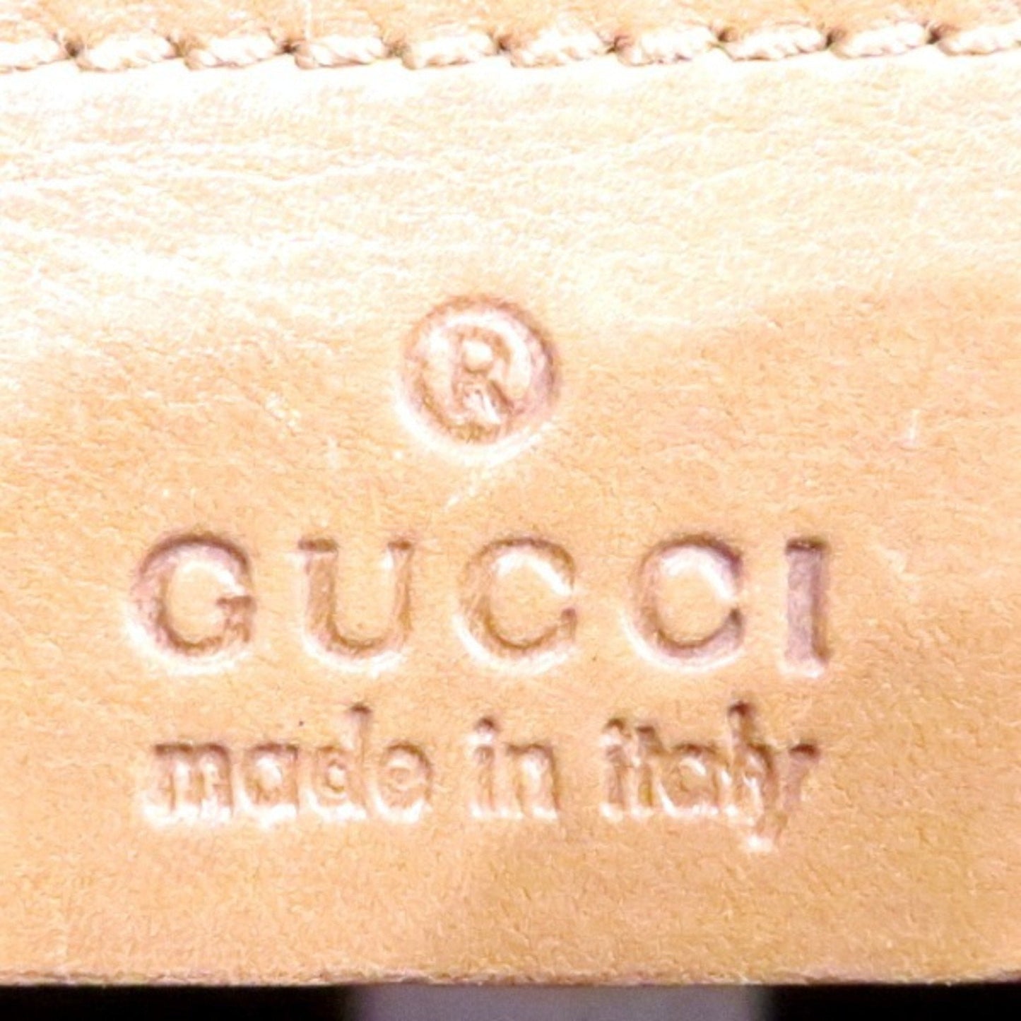 Gucci GG canvas