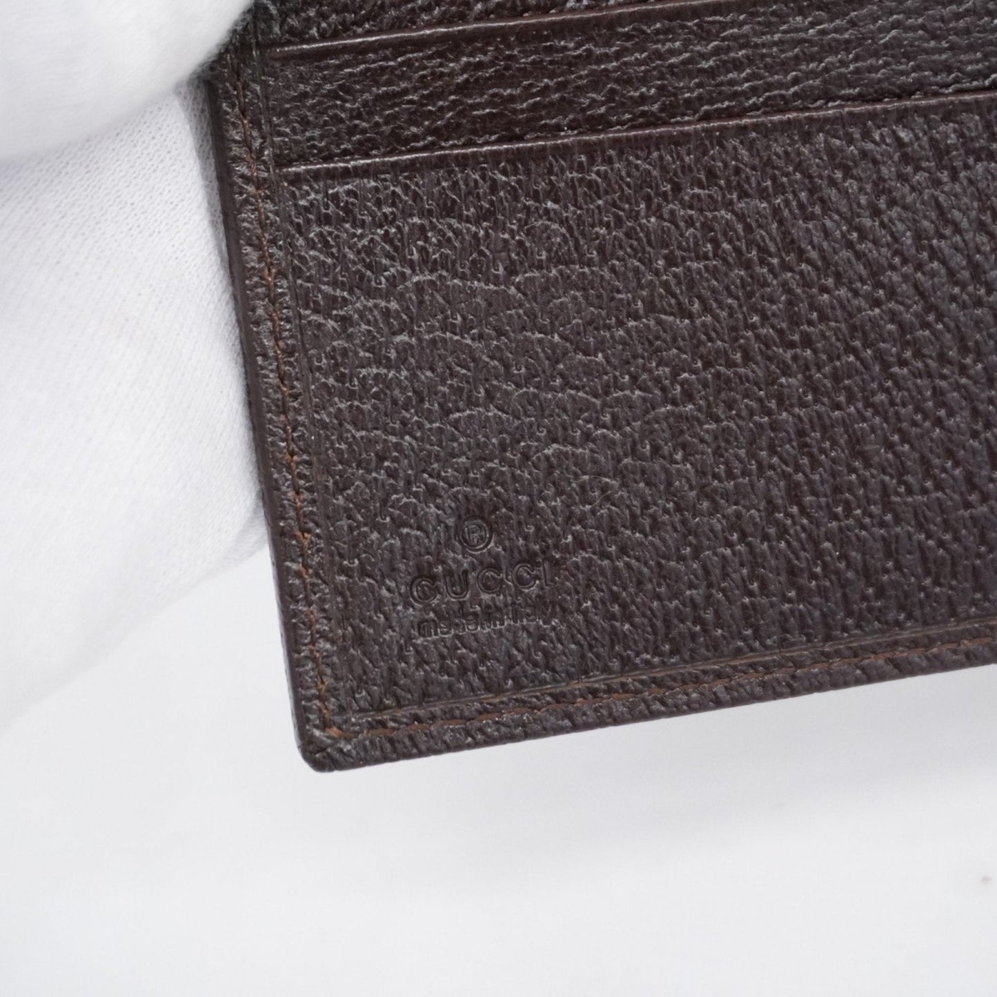 Gucci GG canvas