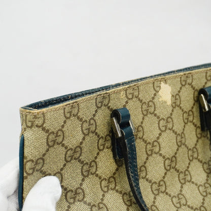 Gucci GG canvas