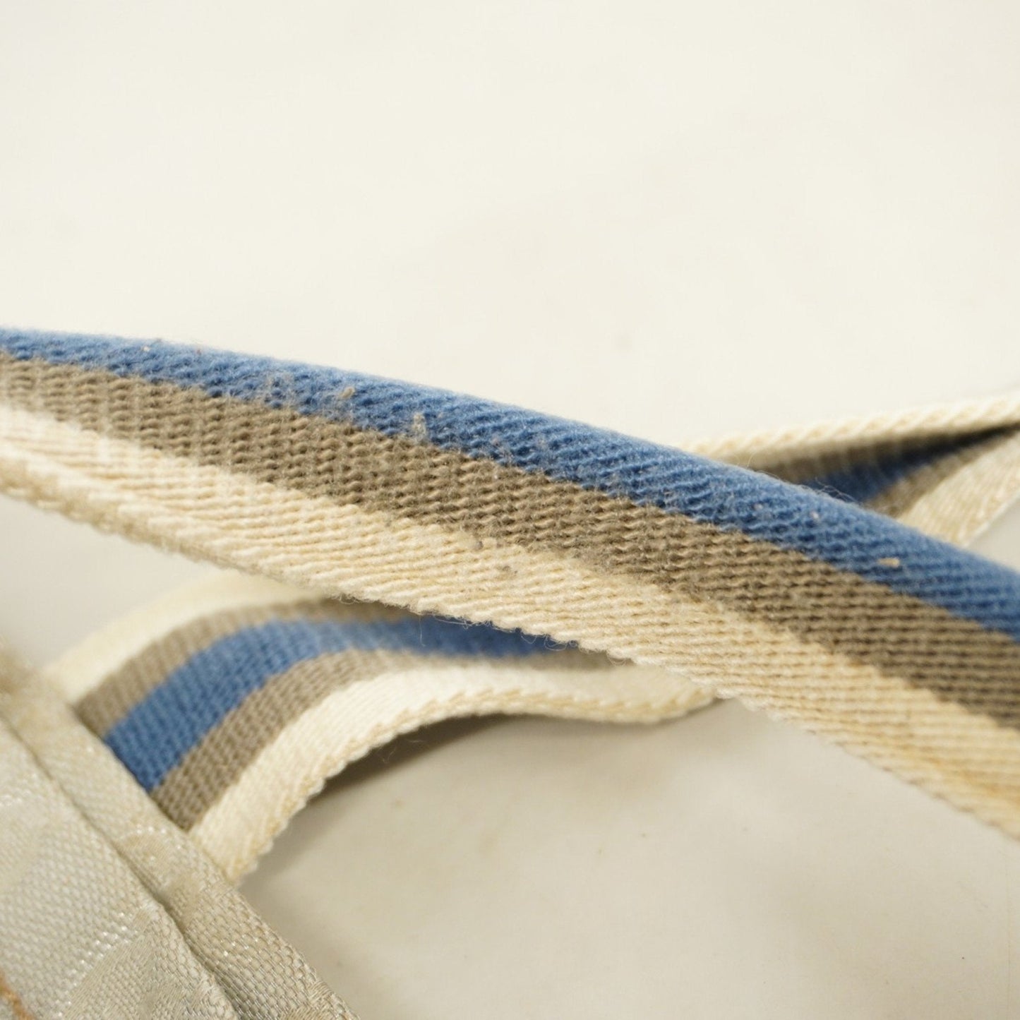 Gucci GG canvas