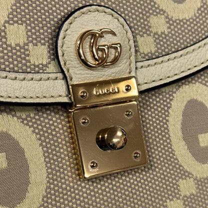 Gucci GG canvas