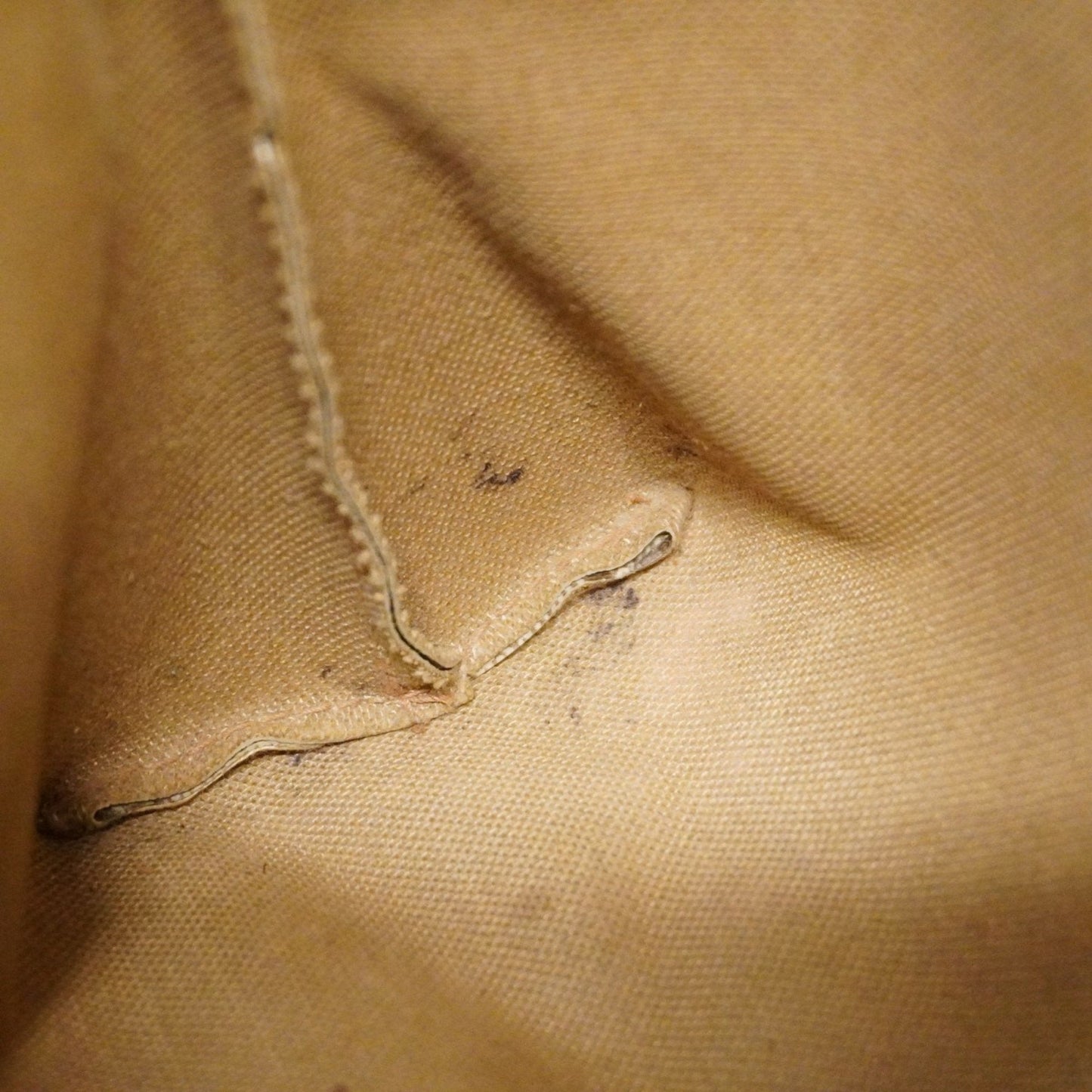 Gucci GG canvas
