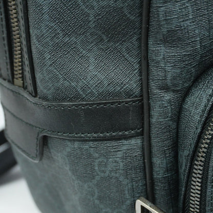 Gucci GG canvas