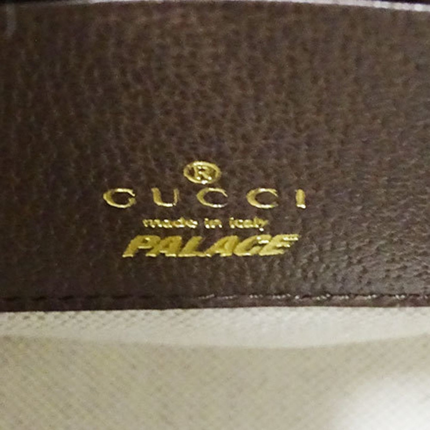 Gucci Ophidia
