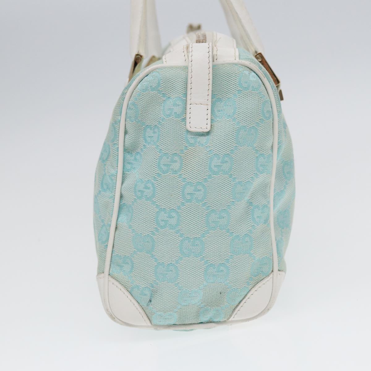 Gucci GG canvas