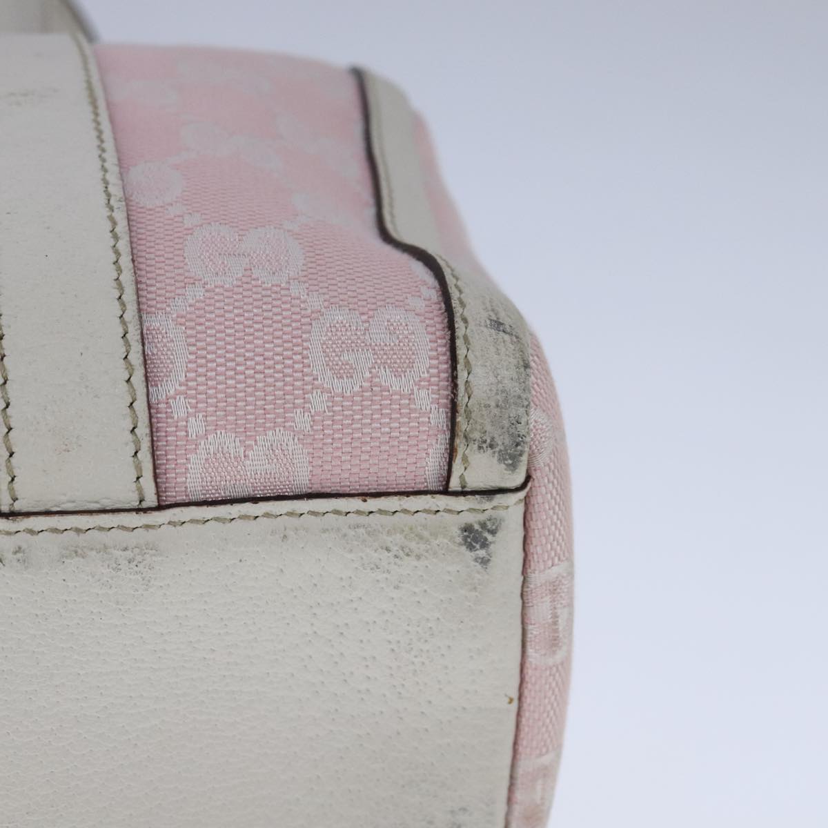 Gucci GG canvas