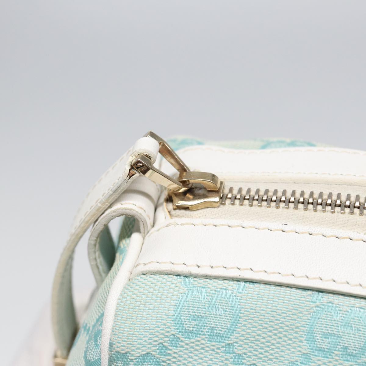 Gucci GG canvas